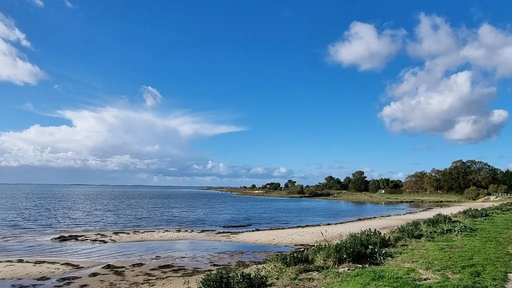 Bassin de baignade de Lanton